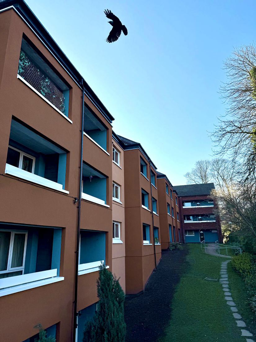 54North Flats, Headingley 2 